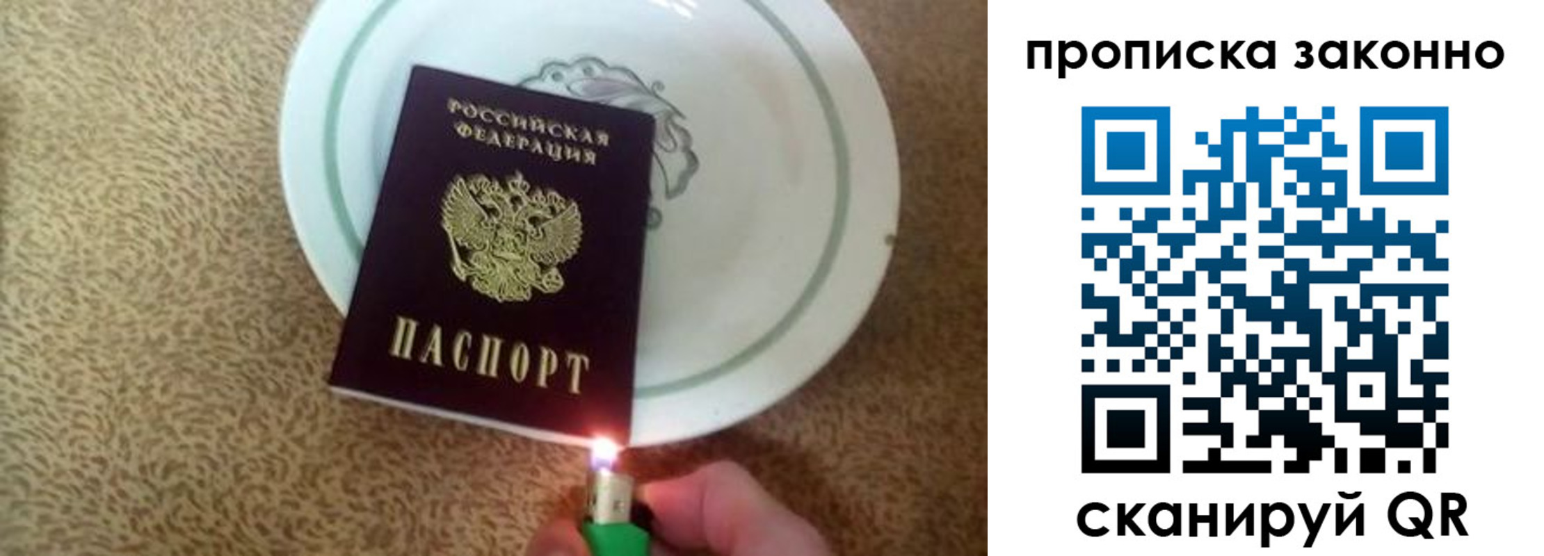 прописка поиск в Тереке